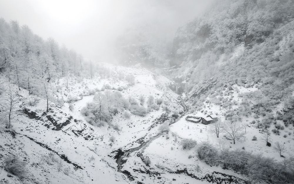 Photograph by Hadi Mohsentabar