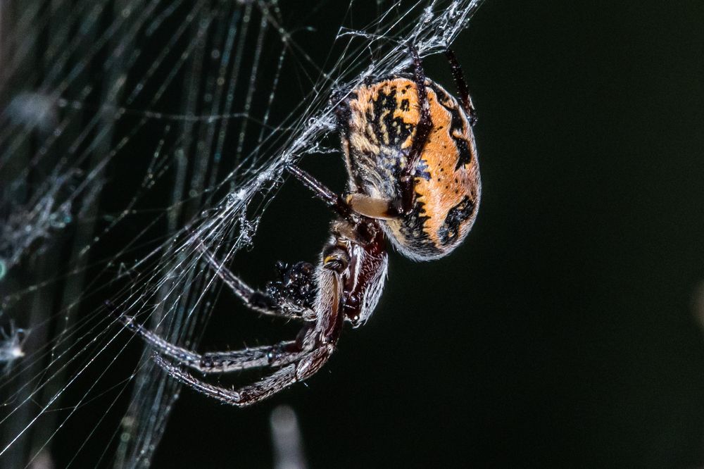 Photograph by Francisco José López Fernández