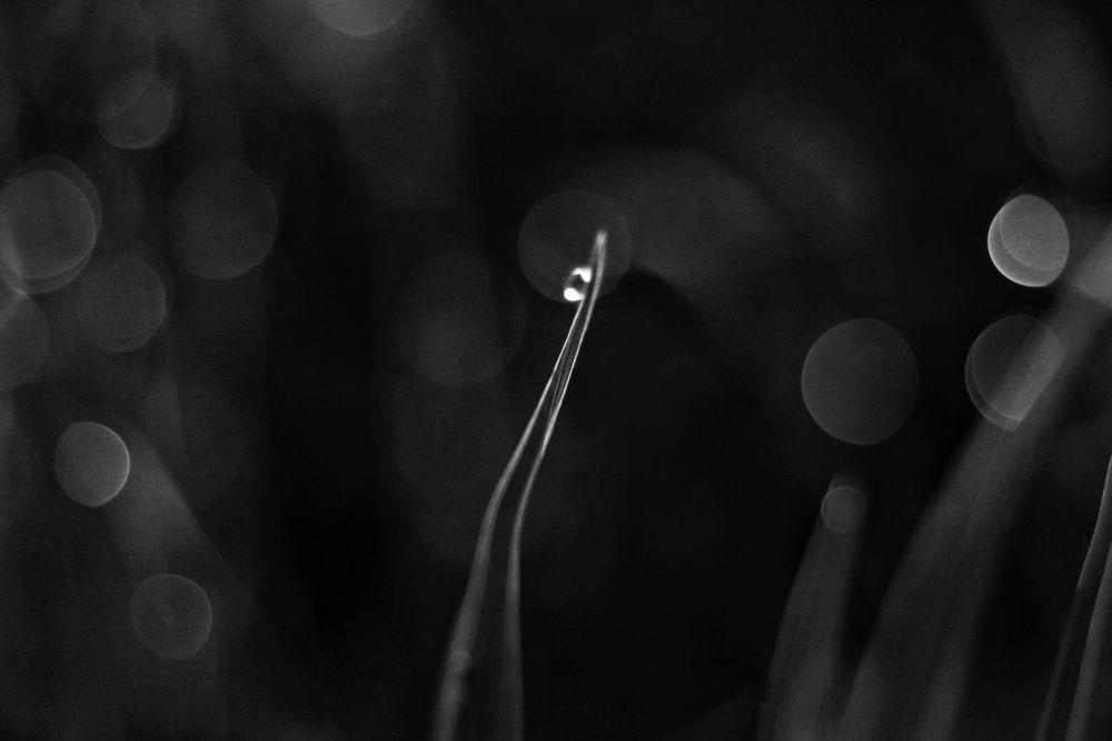 Photograph by Инна Карасева