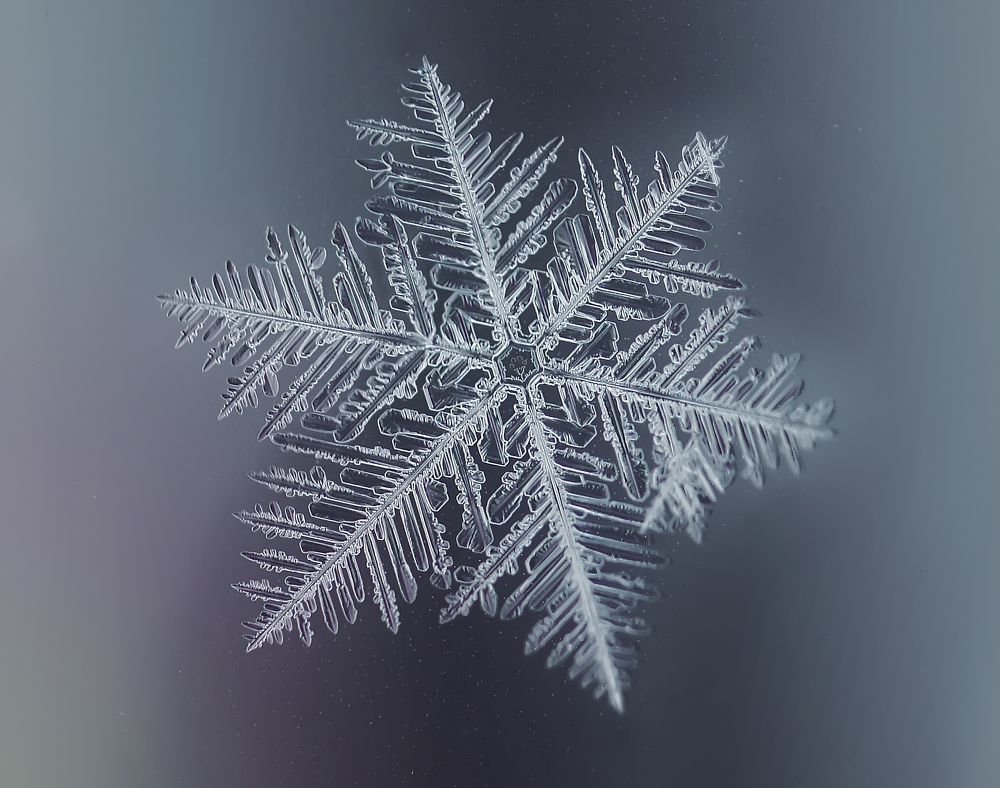 Photograph by Гарик Соколов