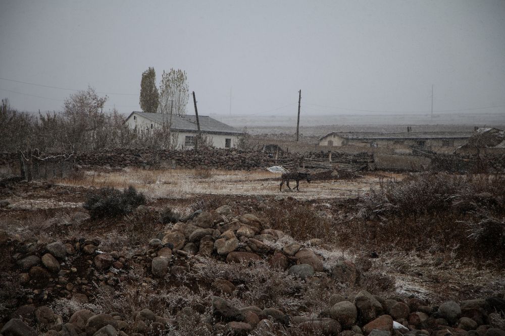 Фотография автора Надежда Шаншайская