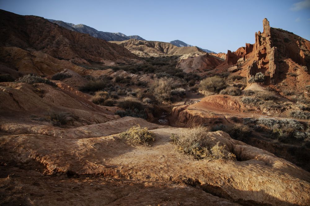 Фотография автора Надежда Шаншайская