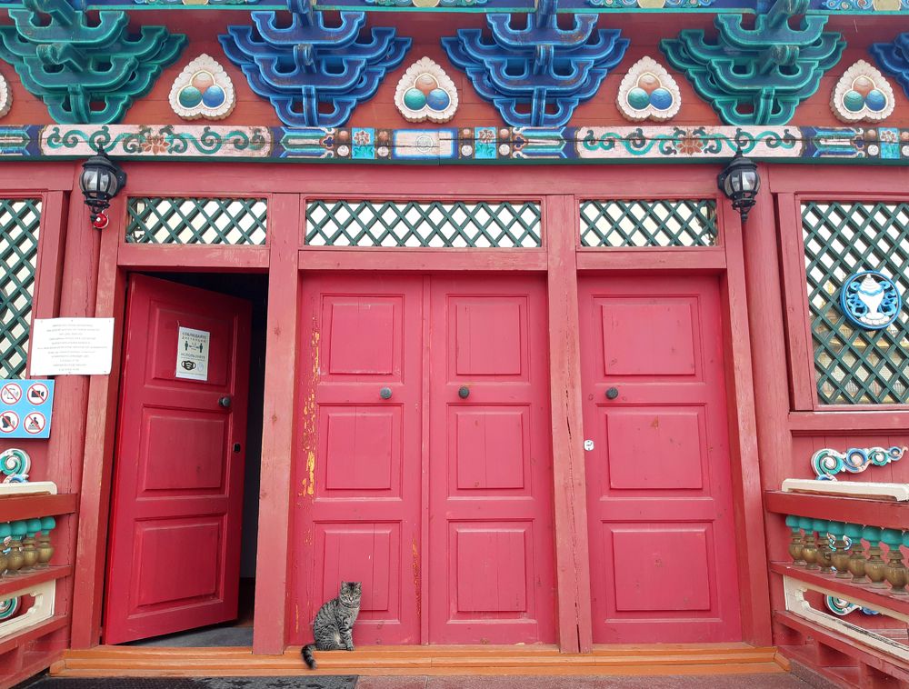 Photograph by Dmitry Demin