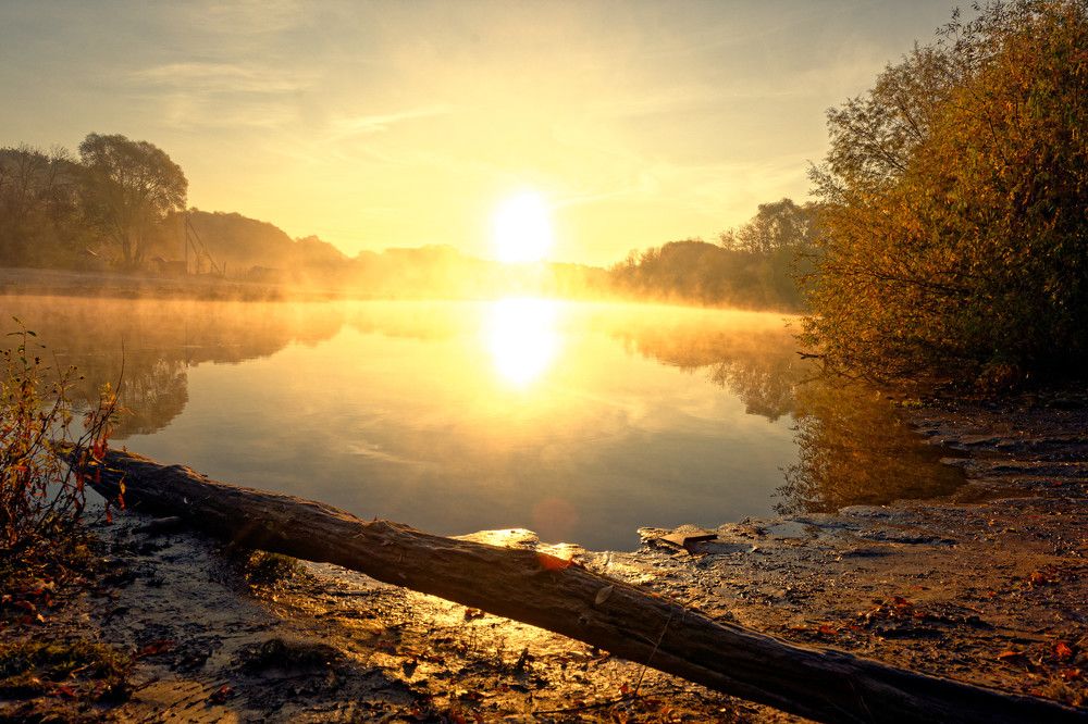 Фотография автора Алексей Григорьев