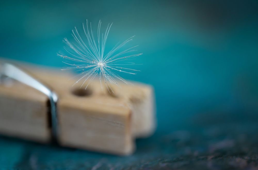 Photograph by Сергей Романченко