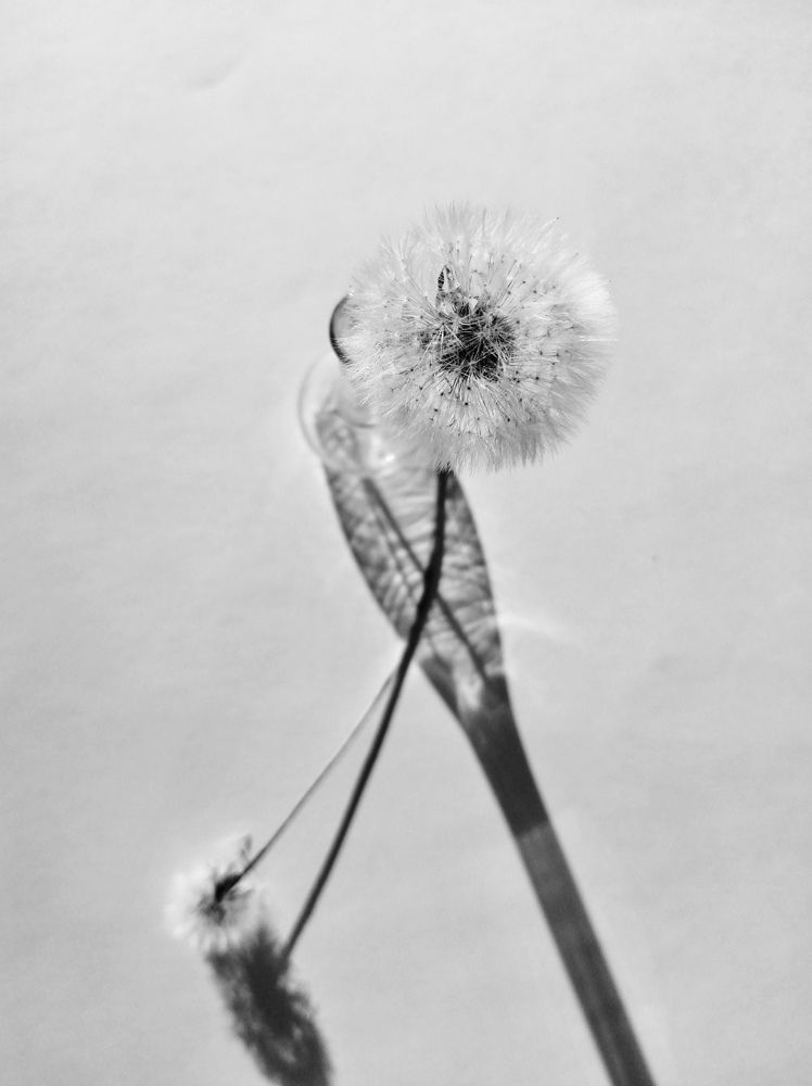 Photograph by Ольга Мокрова