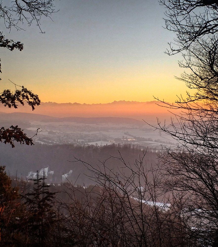 Фотография автора Elena Burgstaller