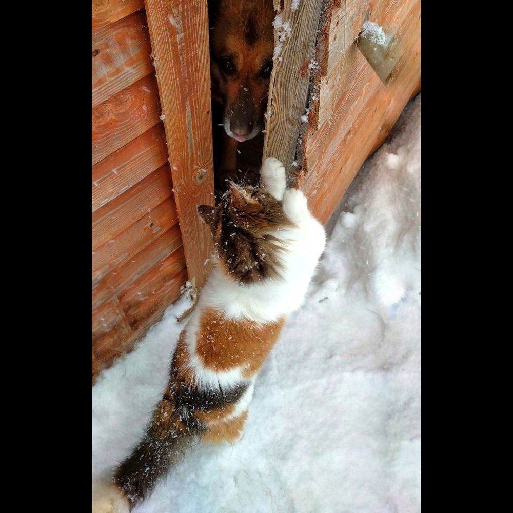 Photograph by Олика