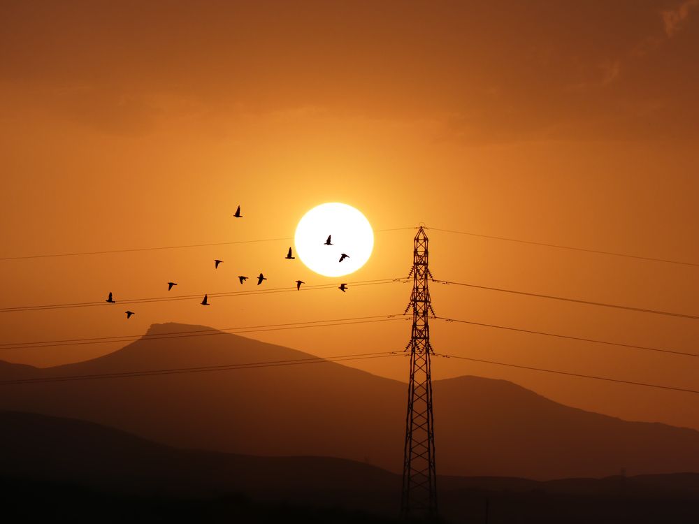 Photograph by ali bakhshi