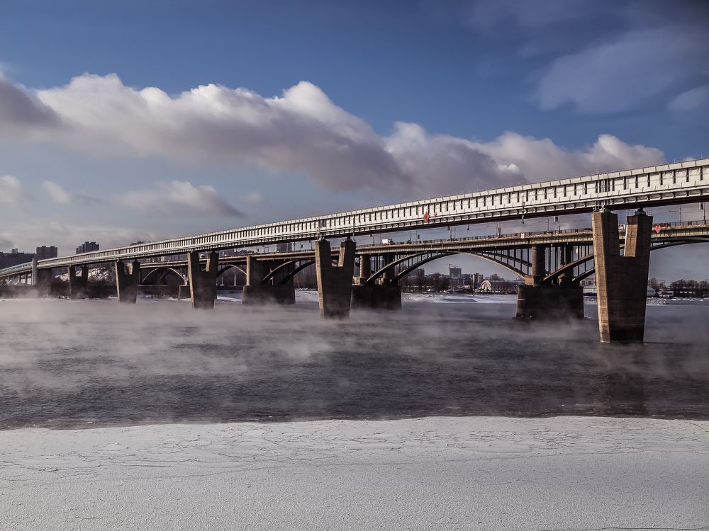 Photo #7202740