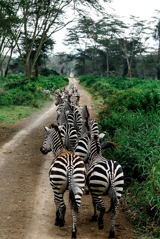 Photograph by Uyriy Serebrov