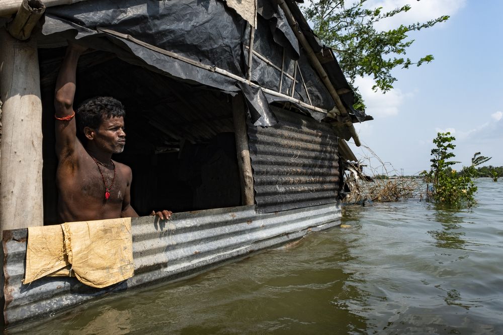 Фотография #7202812