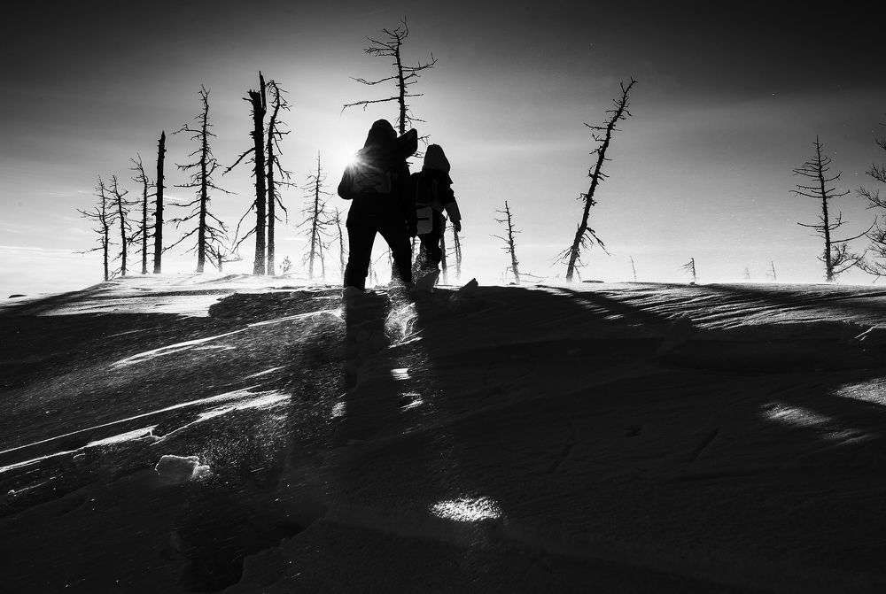 Фотография автора Сергей Сынтин