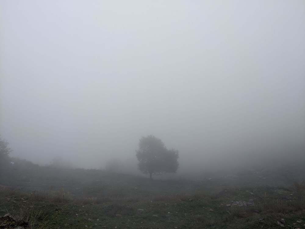 Photograph by Юлия Семенова