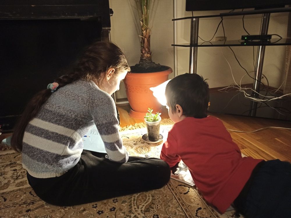 Фотография автора Курбан Курбаналиев