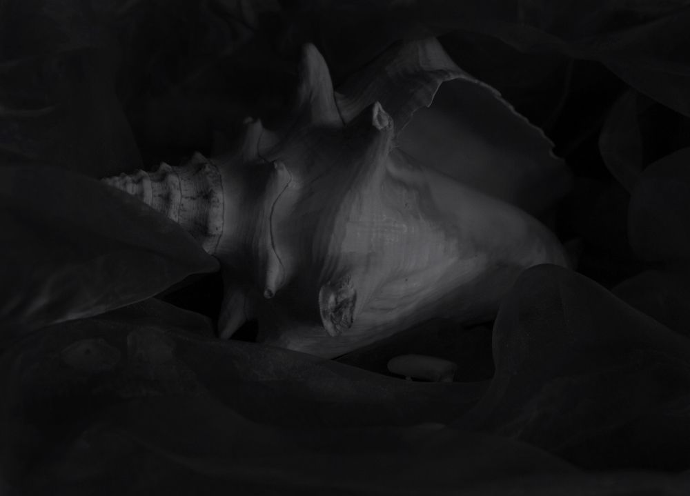 Photograph by Tatevik Tananyan