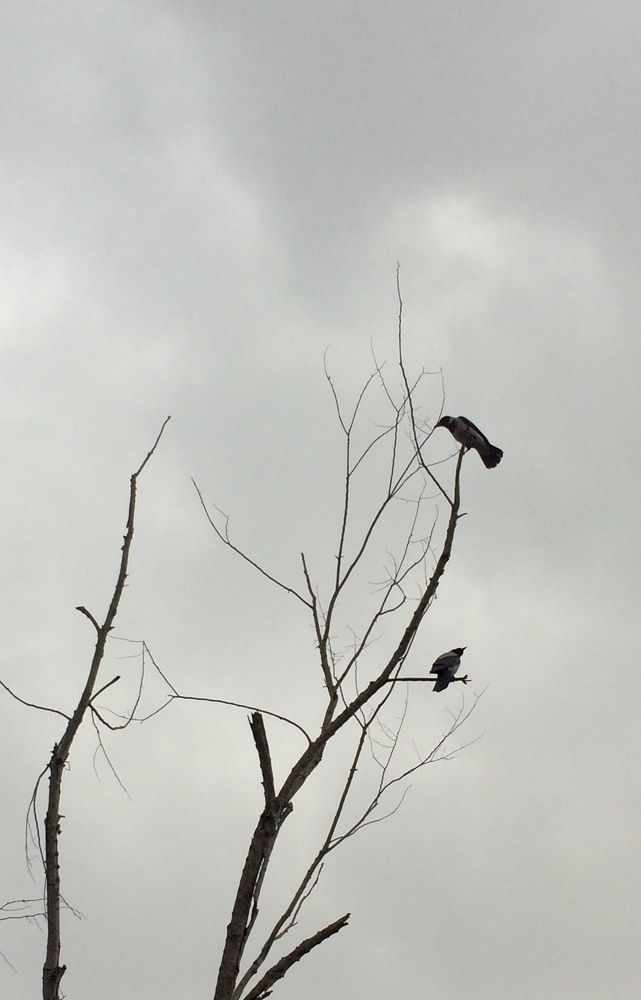 Photograph by hanie rashidi