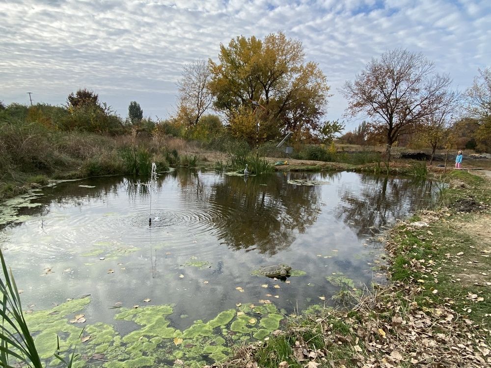 Photograph by Roman Mazo