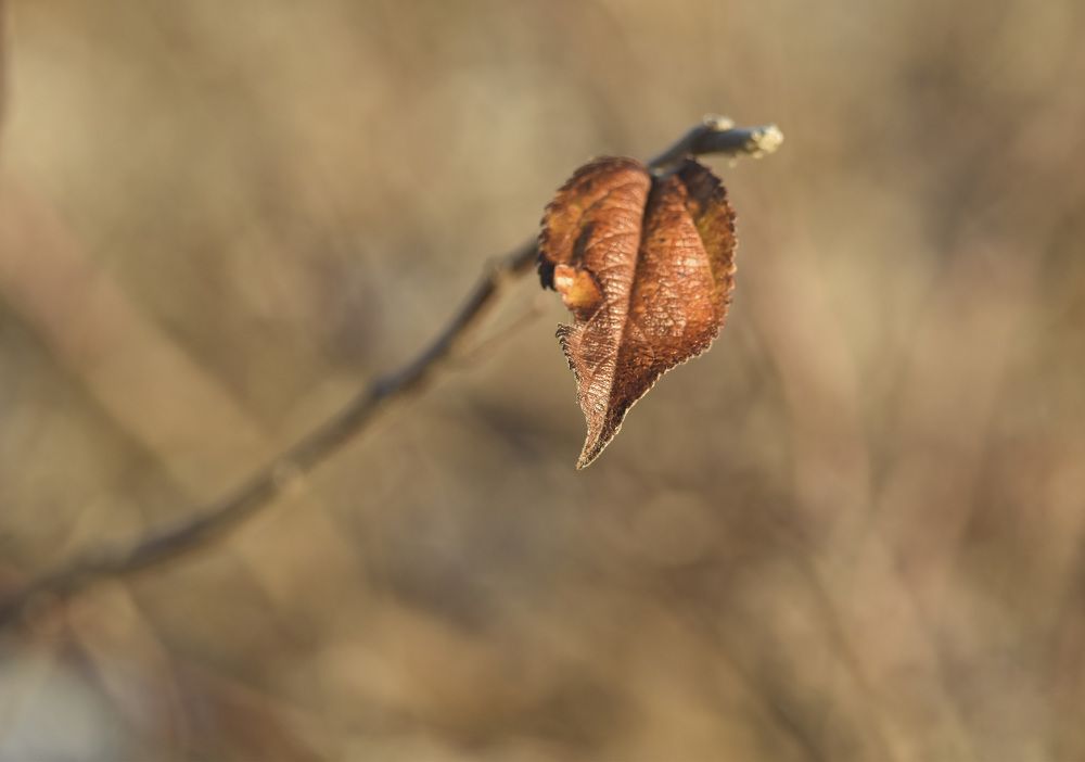 Photograph by Роман Пацкевич