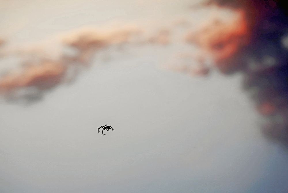 Photograph by Измаил Ефимов