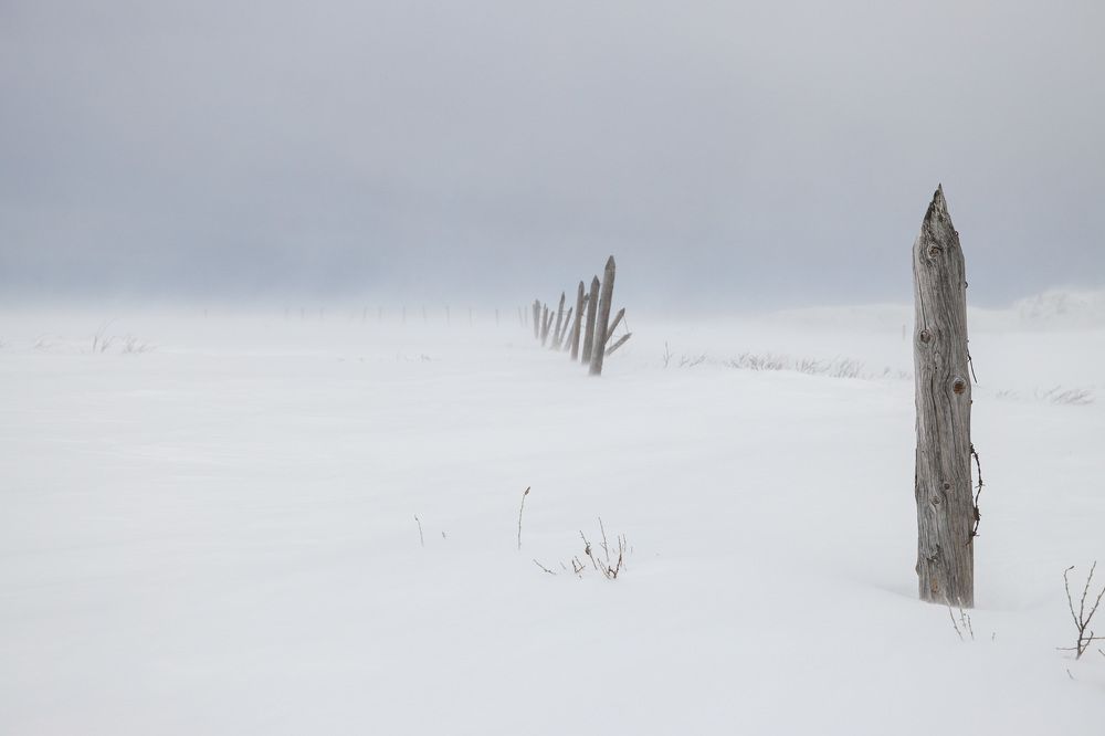 Photograph by Andrey Lagunov