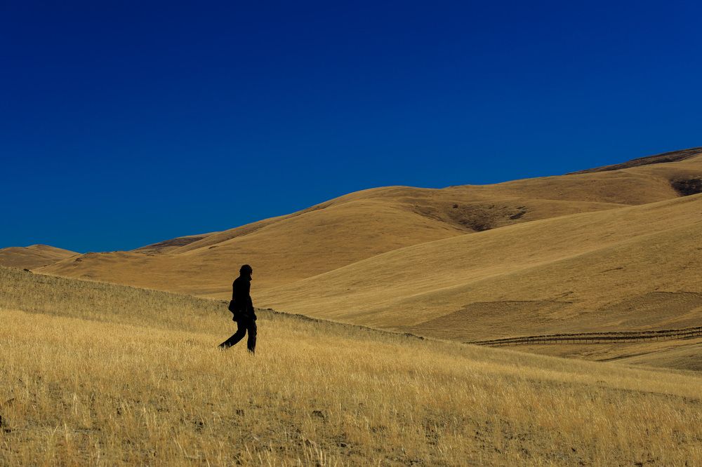 Photograph by Andrey Lagunov