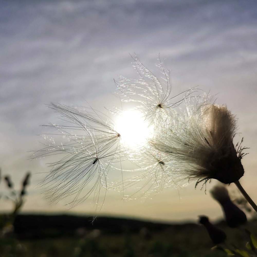 Photograph by Владимир Прорешный