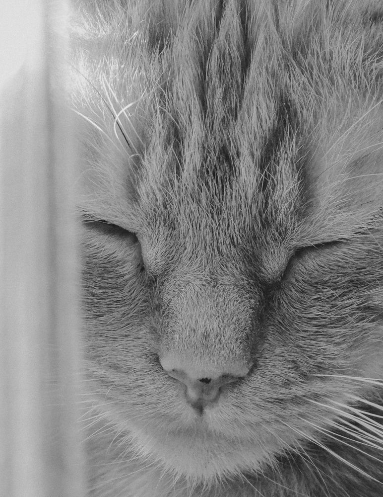 Photograph by Дарья Довгаль