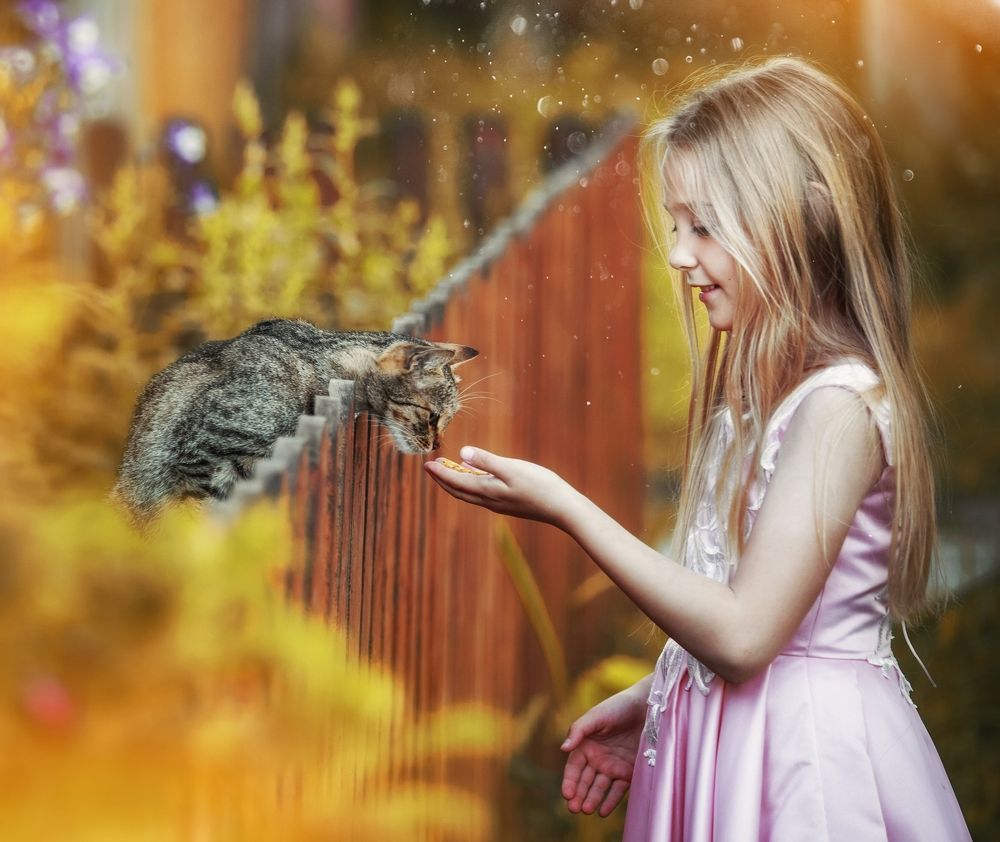 Photograph by Анастасия Голубева