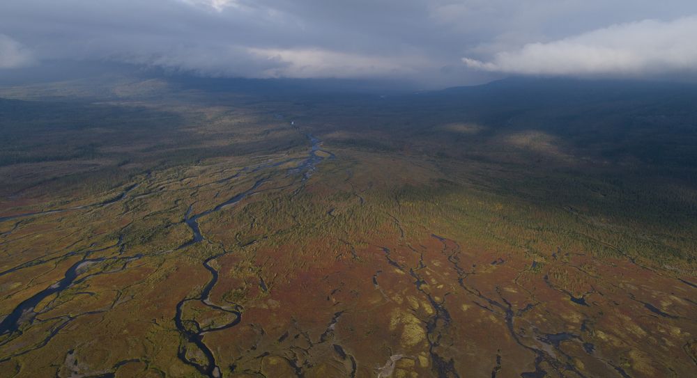 Вены тундры