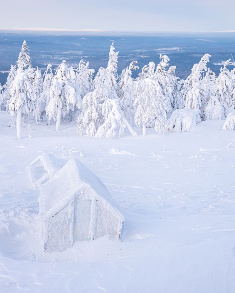 Photograph by Алёна Ивочкина