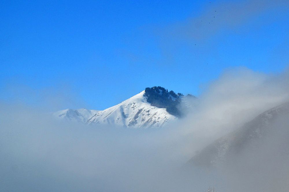 Photograph by Виктор Репников