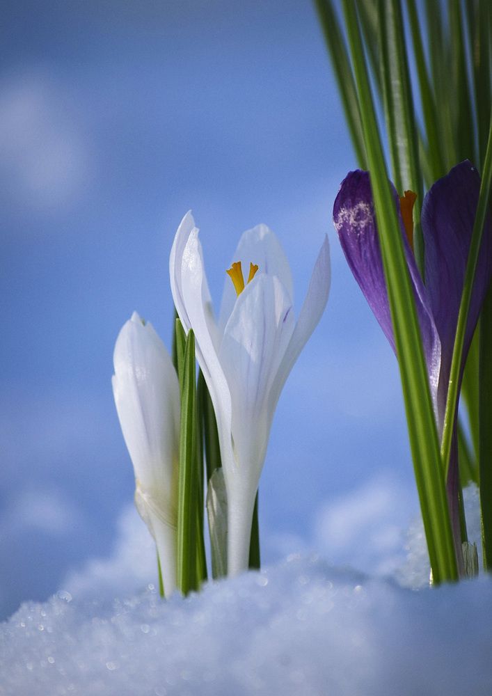 Photograph by Соколова Елена