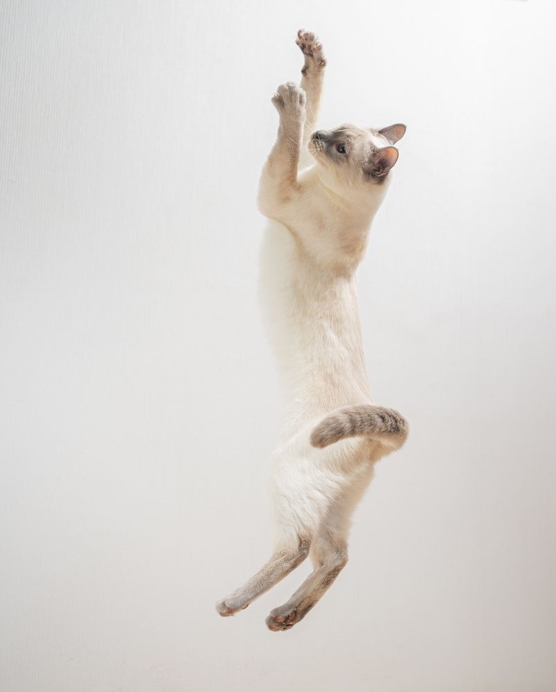 Photograph by Olga Zdančuka