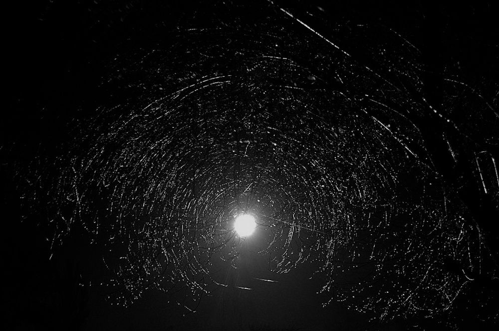 Photograph by Виктор Репников