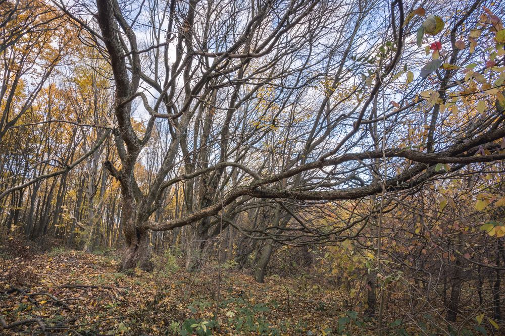 Фотография автора Владислав Марухин