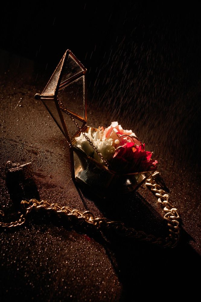 Photograph by Kate Sokolova