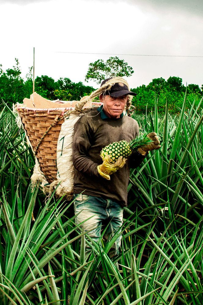 Photograph by Yesid Caicedo