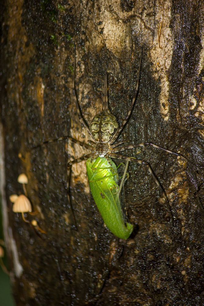 Photograph by Abhishek Nandkishor Neelam Satam
