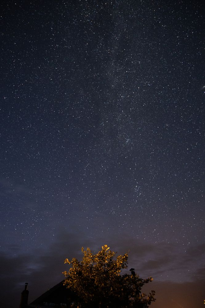 Photograph by Ольга Шиляева