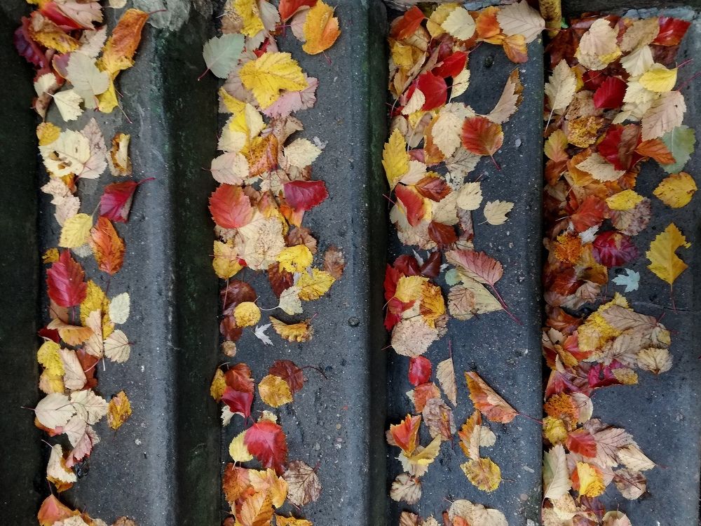 Photograph by Krystyna