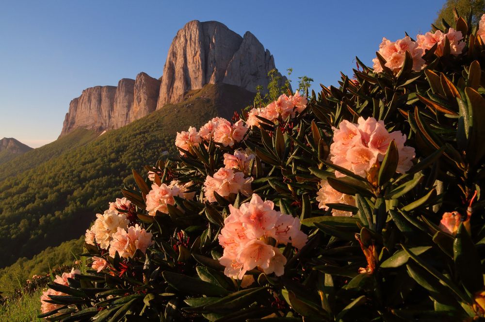 Photograph by Михаил Рева