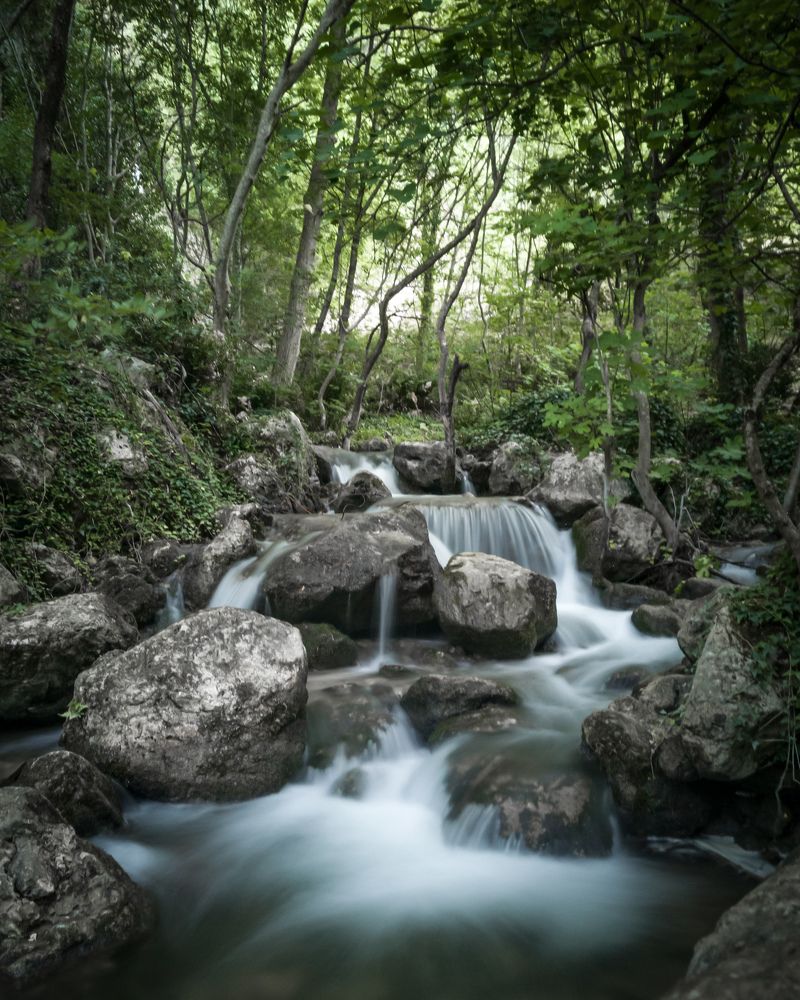 Photograph by MARRANO DOMENICO