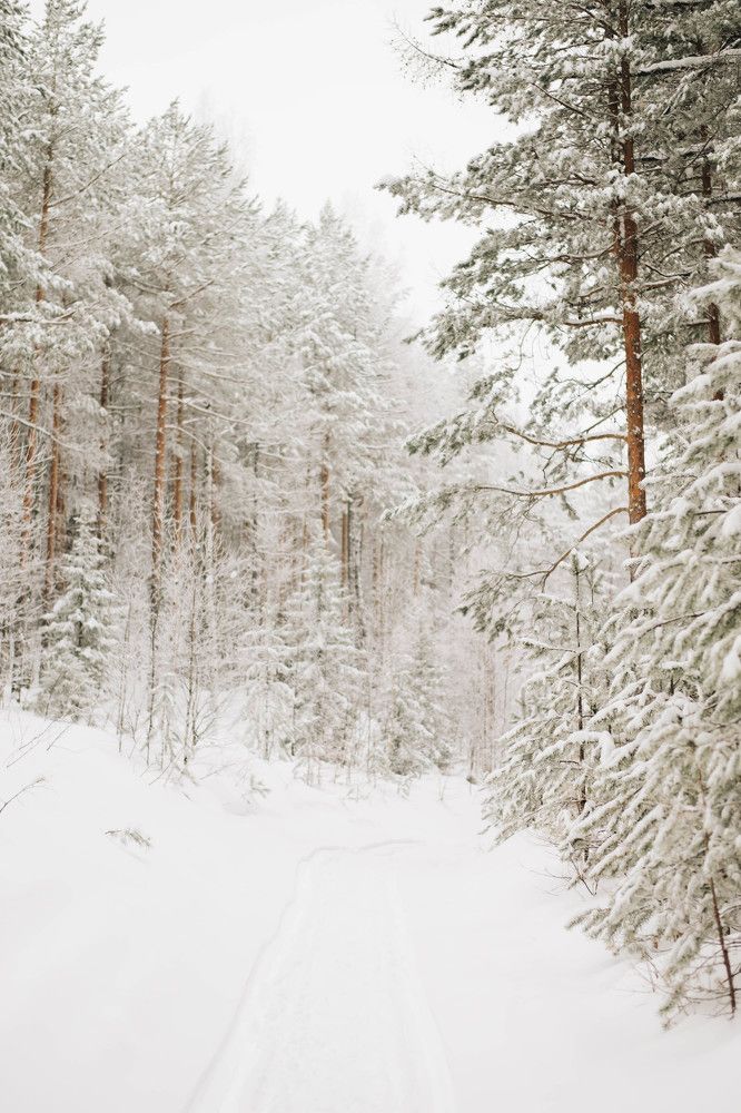 Photograph by Юлия Балдина