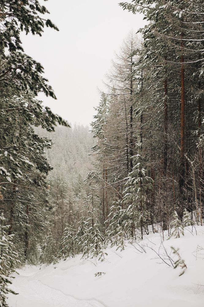 Photograph by Юлия Балдина