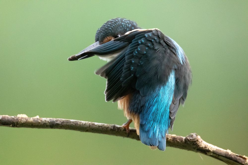 Photograph by Цветков Сергей