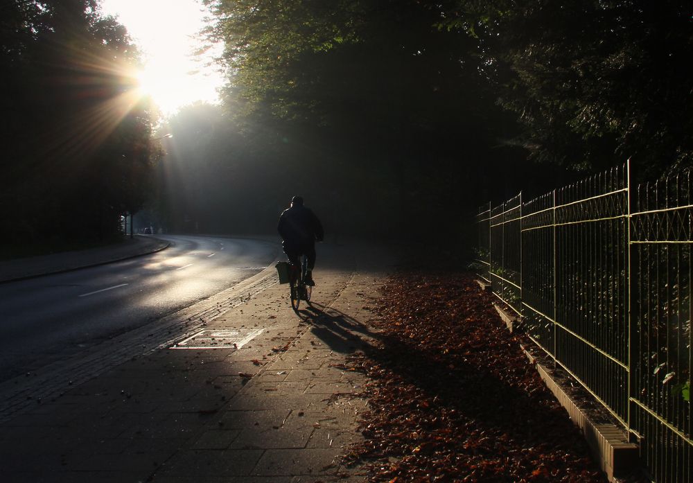 Photograph by Gabriella Szabo