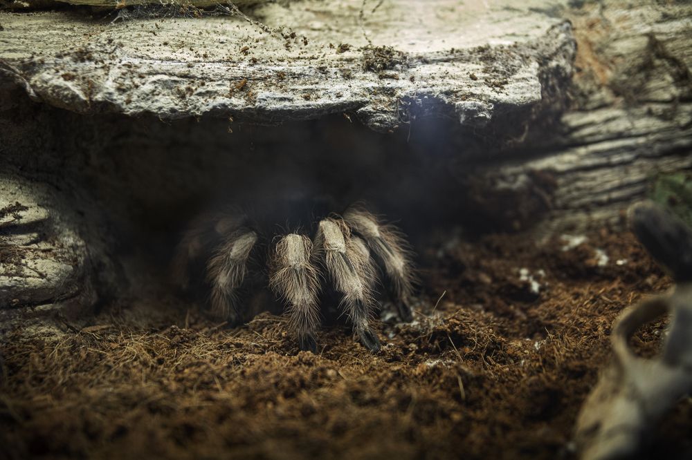 Photograph by Александр Алфёров