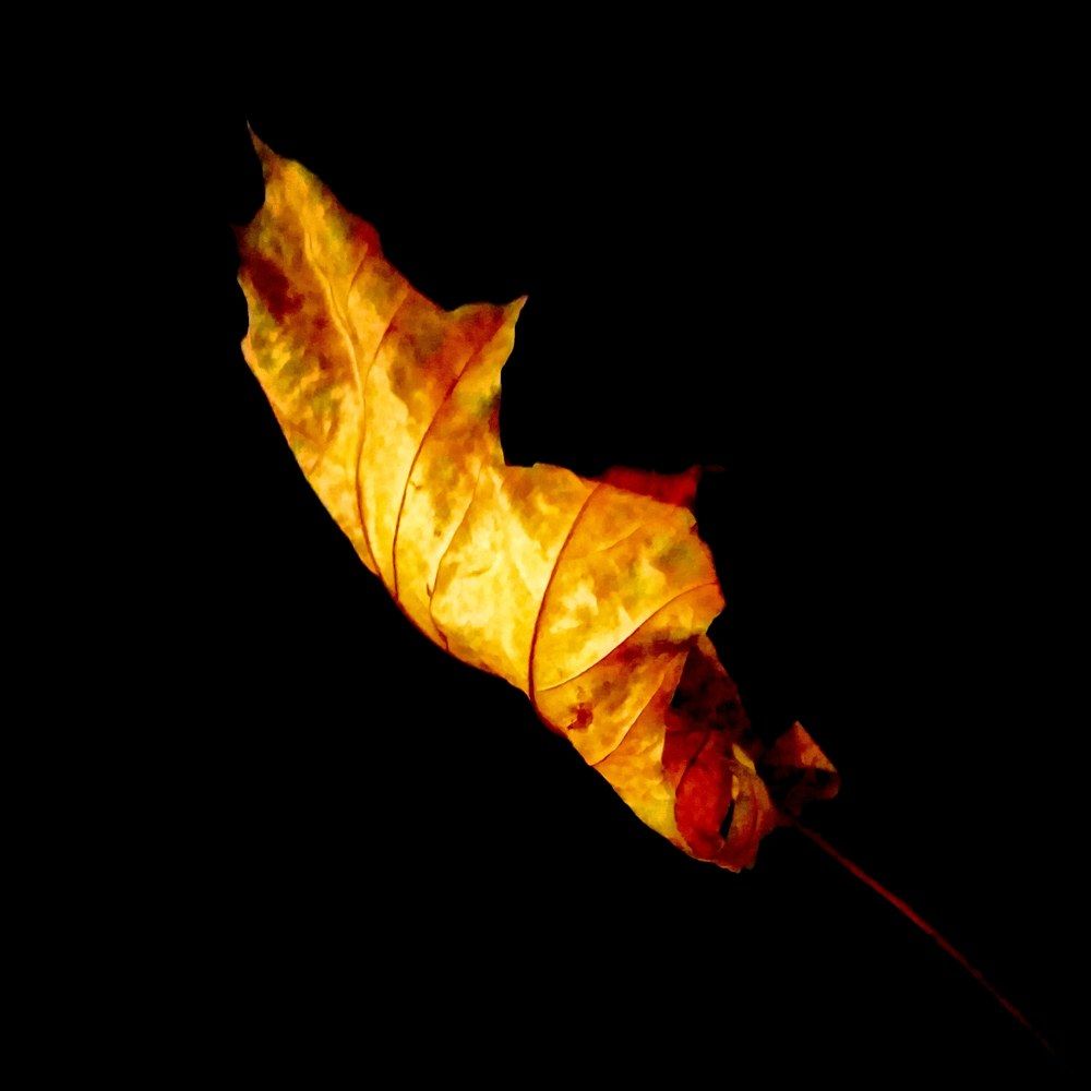 Photograph by Ирина