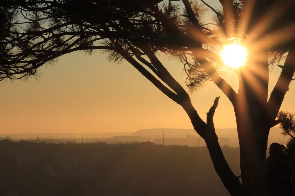 Photograph by Olena Dedova